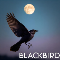 Blackbird - Full Cover cover